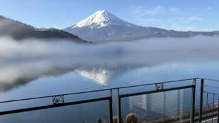 はじめまして、どうぞ宜しくお願い致します🐾