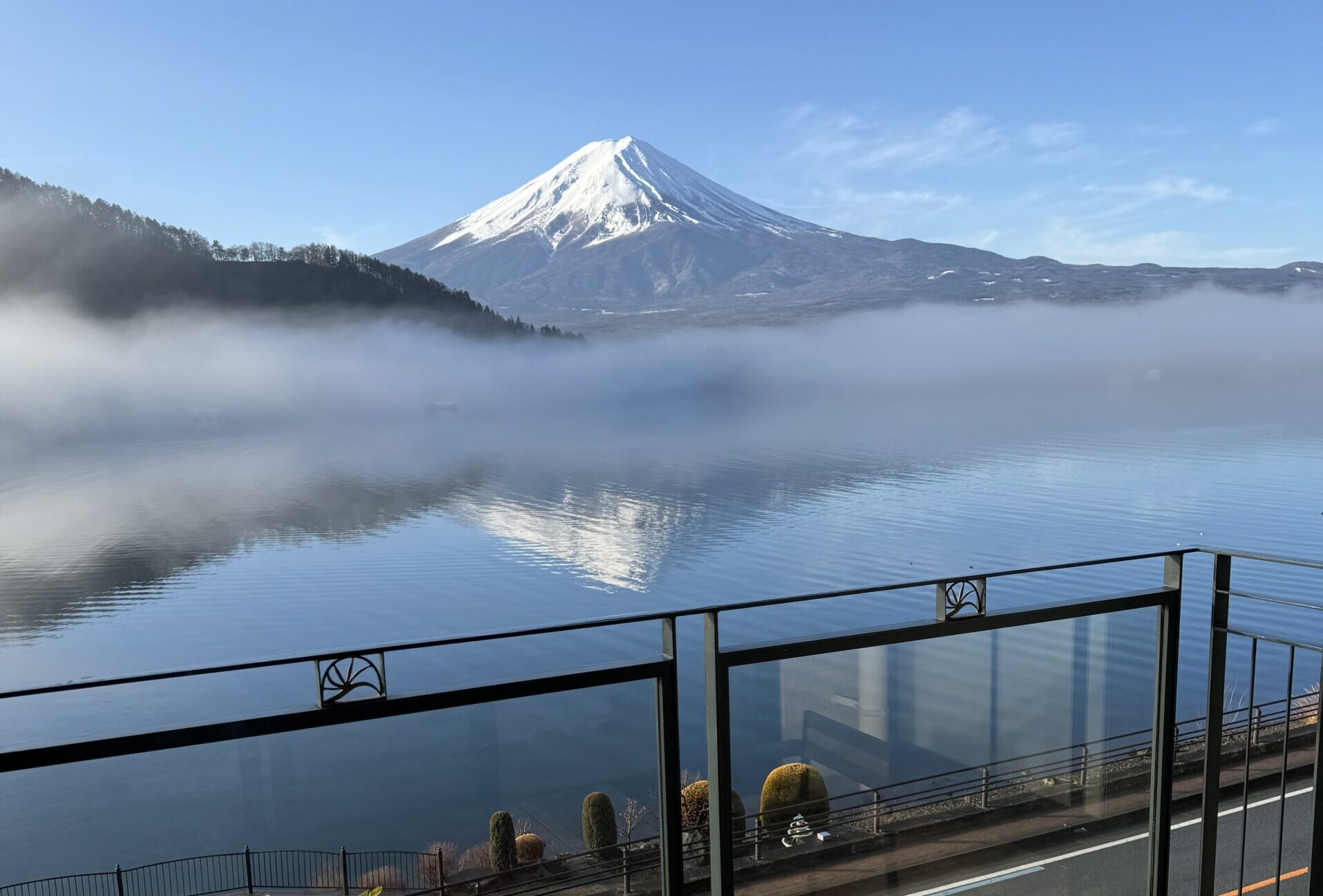 はじめまして、どうぞ宜しくお願い致します🐾
